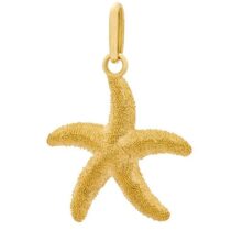 آویز زنانه طرح ستاره دریایی شنی کد G1524